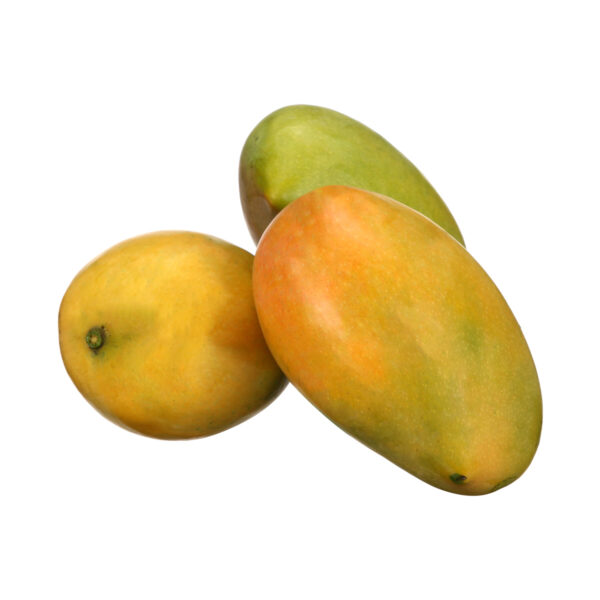 Mango Alphonso