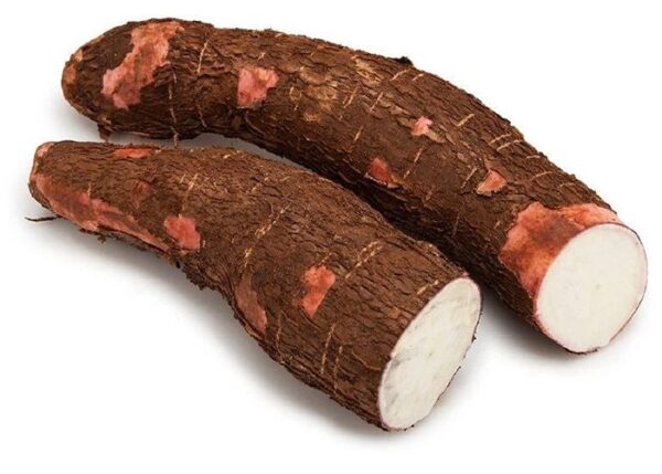 Tapioca