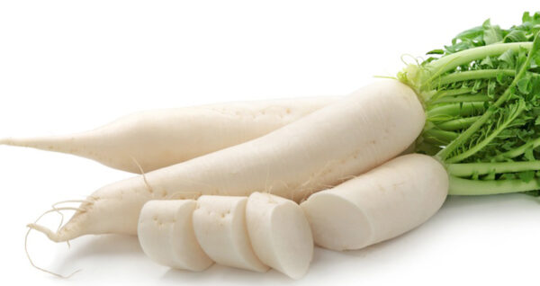 White Radish