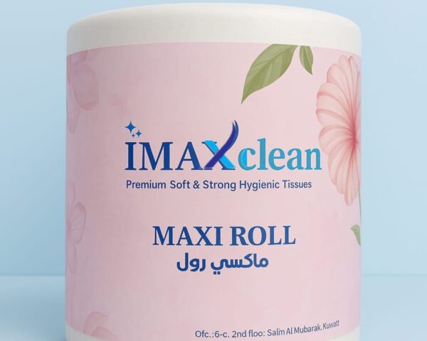 Standard Maxi Roll Tissue – 2-Ply, 250 Meters, 4 KG