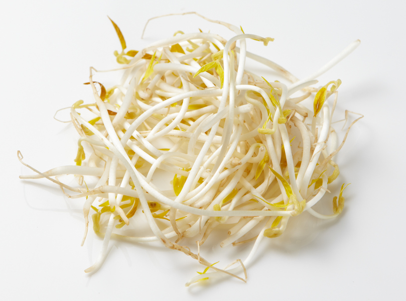 Mung bean sprout/Togi 400g